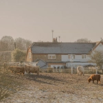 Волшебный мир фермы с красивым амбаром и животными