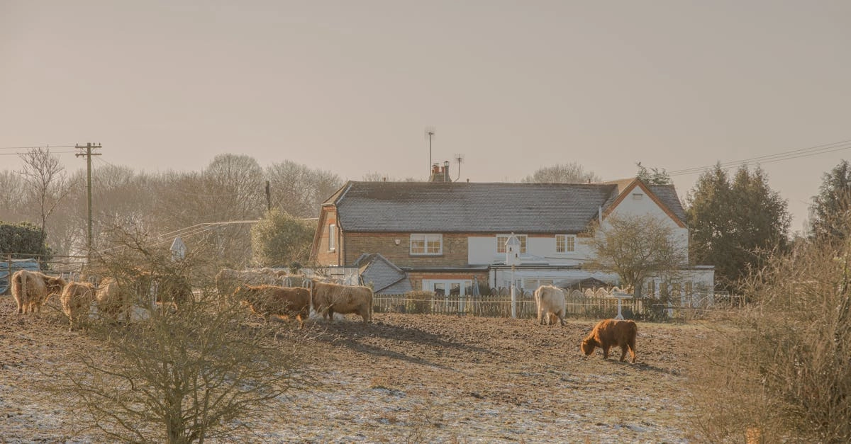 Волшебный мир фермы с красивым амбаром и животными
